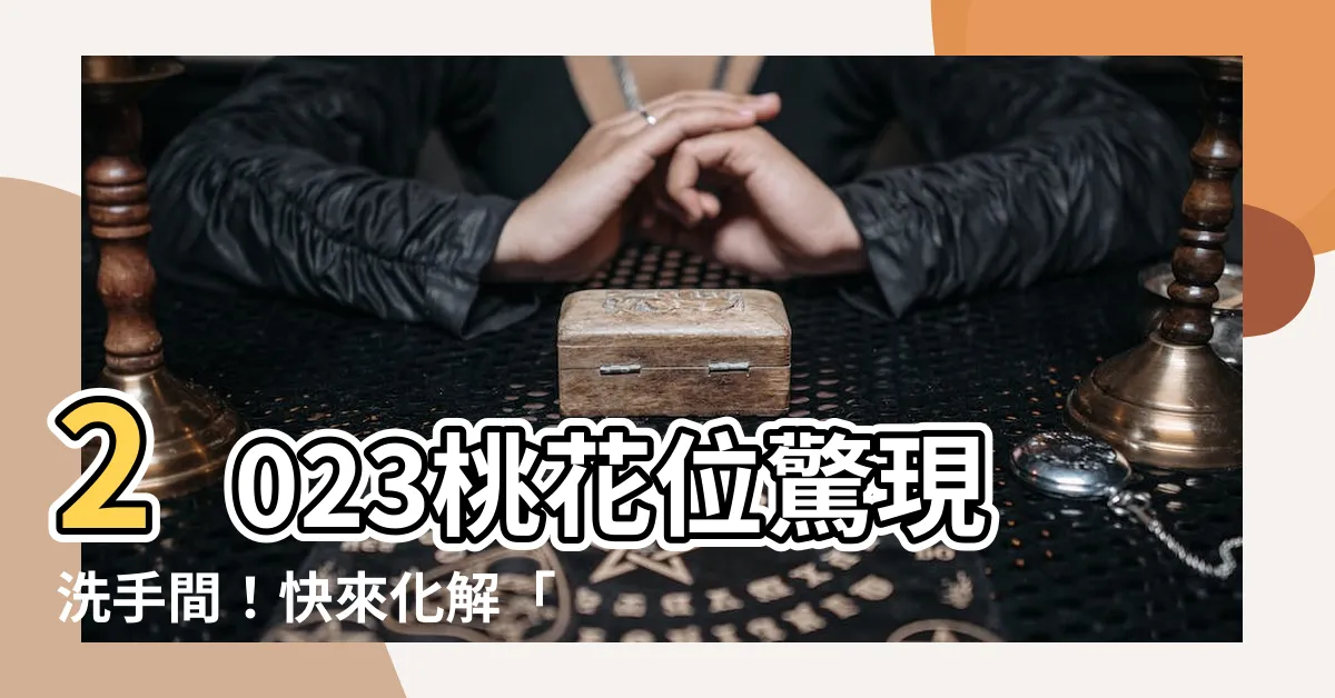【2023桃花位在洗手間】2023桃花位驚現洗手間！快來化解「被水沖走」的桃花運