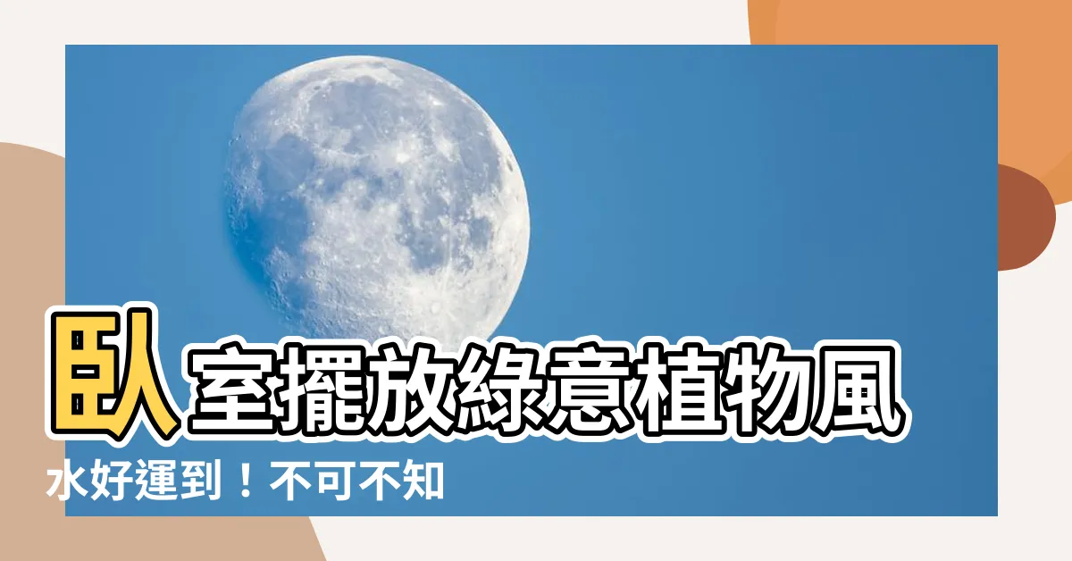【卧室植物風水】卧室擺放綠意植物風水好運到！不可不知的植物擺放禁忌