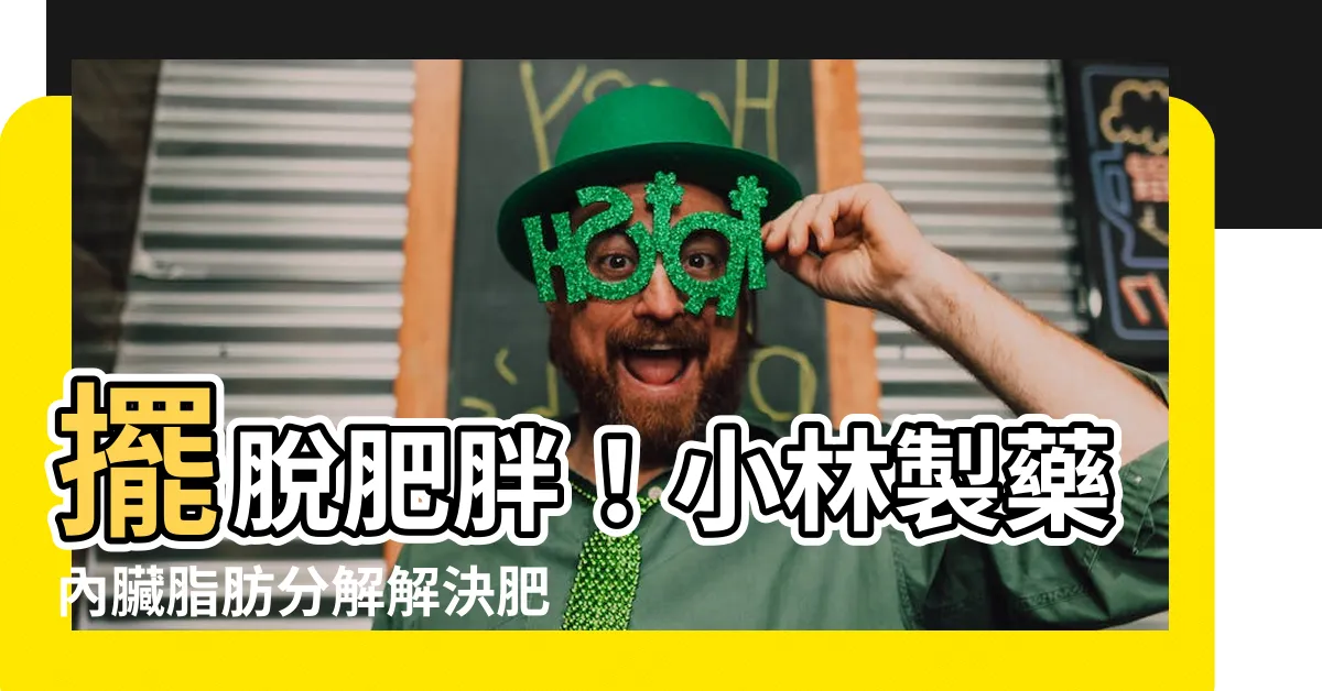 【肥滿症】擺脱肥胖！小林製藥內臟脂肪分解解決肥滿症煩惱