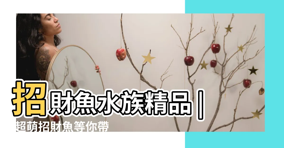 【招財 魚】招財魚水族精品 | 超萌招財魚等你帶回家