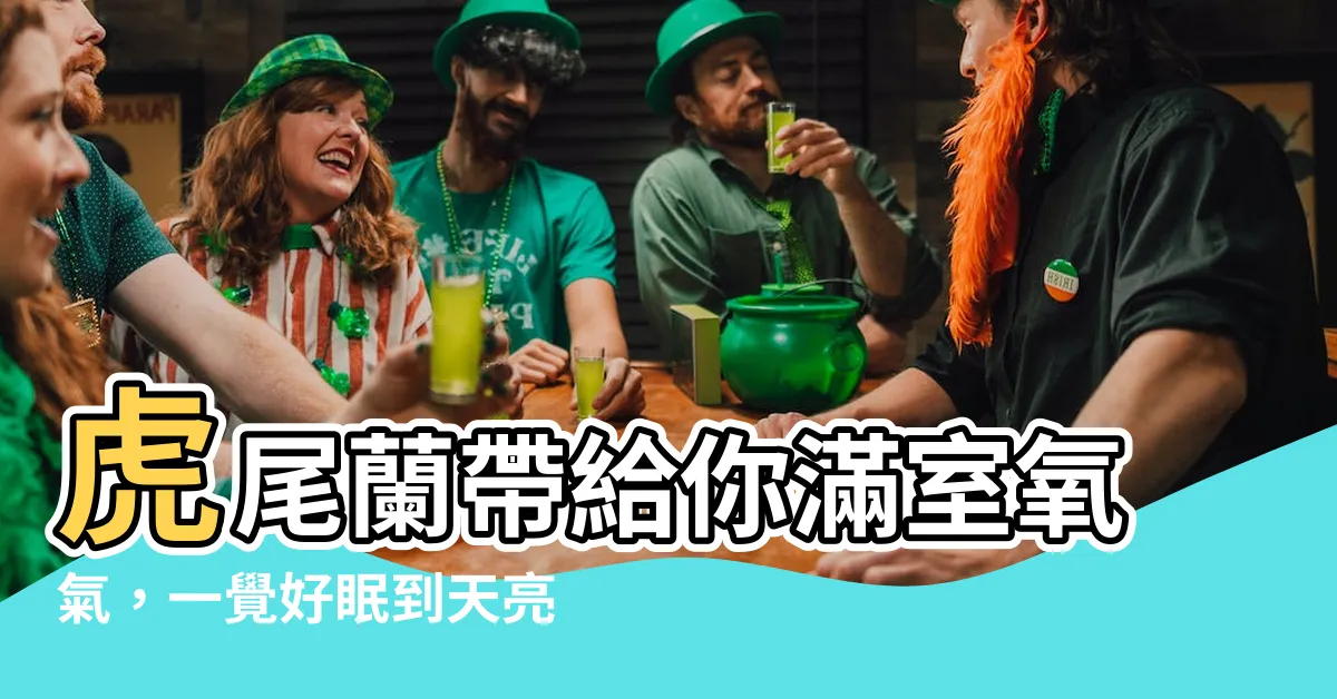 【虎尾蘭 氧氣】虎尾蘭帶給你滿室氧氣，一覺好眠到天亮！