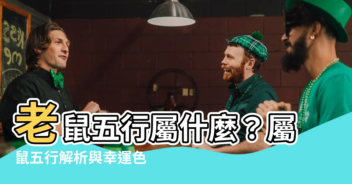 【老鼠五行屬什麼】老鼠五行屬什麼？屬鼠五行解析與幸運色彩一次搞懂！