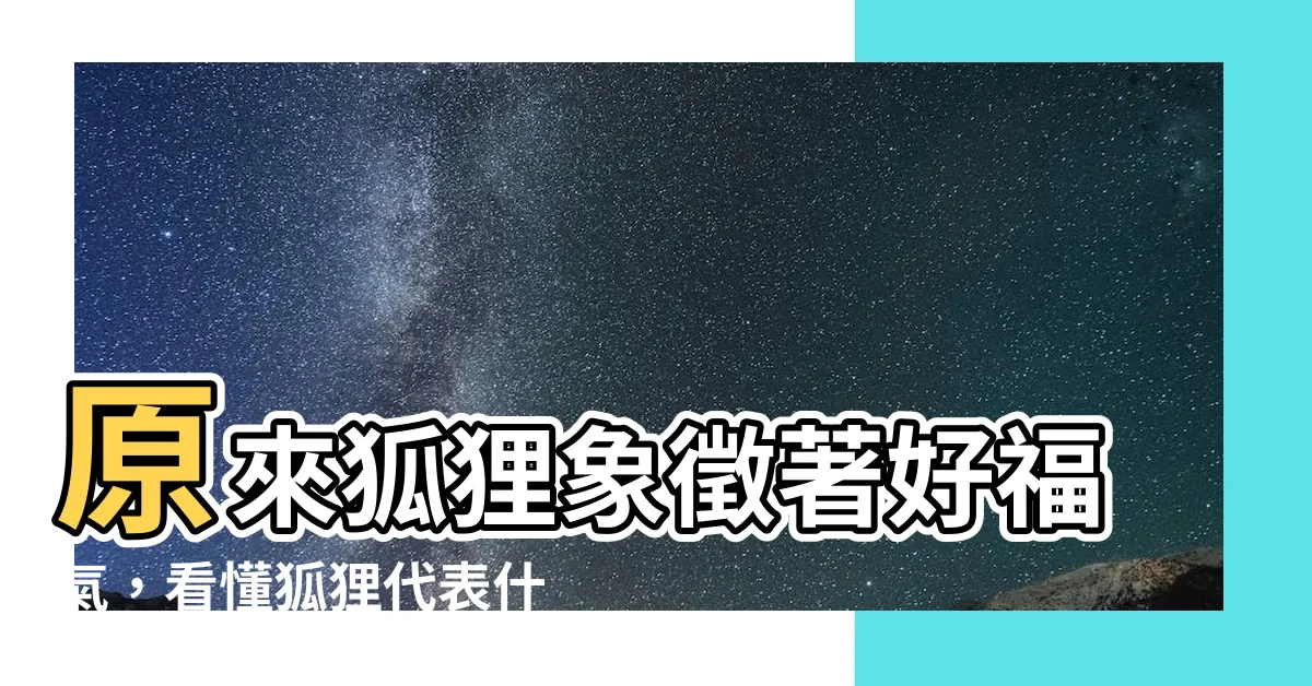 【狐狸象徵什麼】原來狐狸象徵著好福氣，看懂狐狸代表什麼，開啟好運新世界！