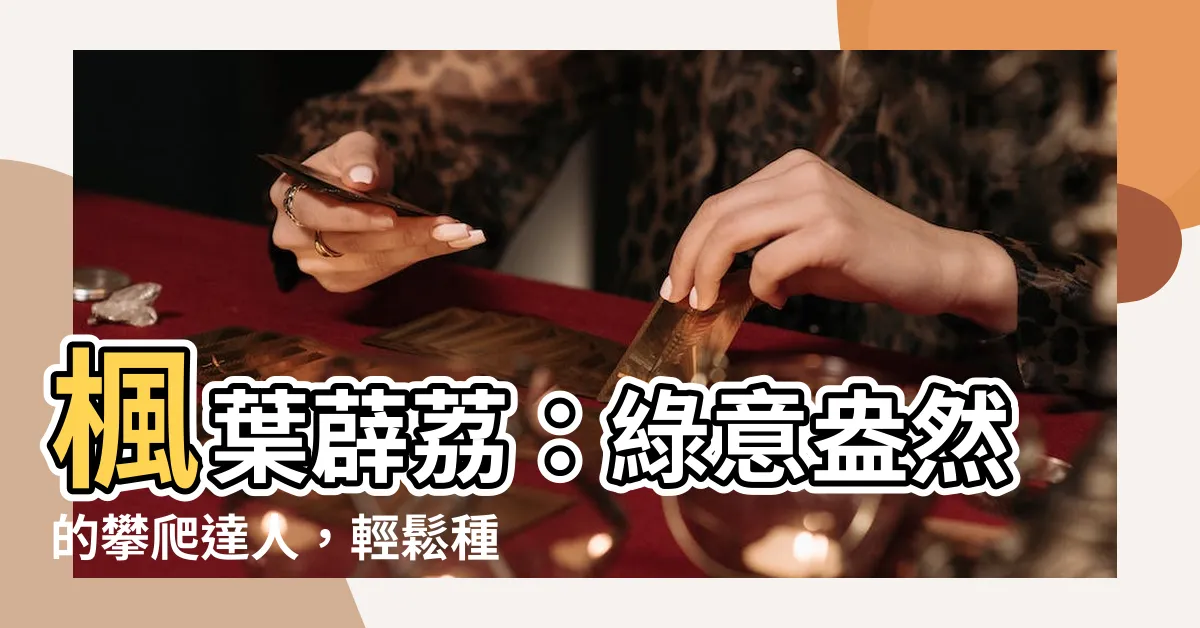 【楓葉薜荔種植】楓葉薜荔：綠意盎然的攀爬達人，輕鬆種植指南