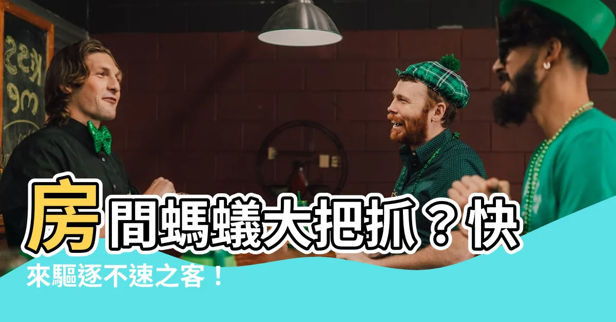 【房間有大螞蟻】房間螞蟻大把抓？快來驅逐不速之客！