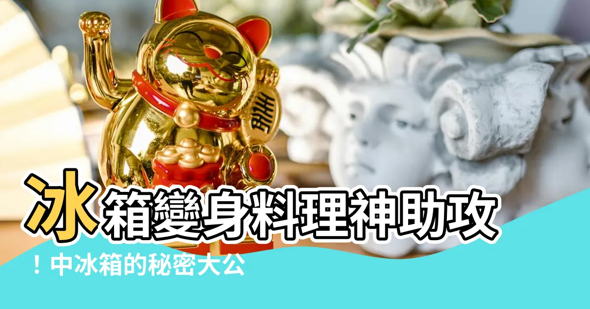 【中冰箱】冰箱變身料理神助攻！中冰箱的秘密大公開！