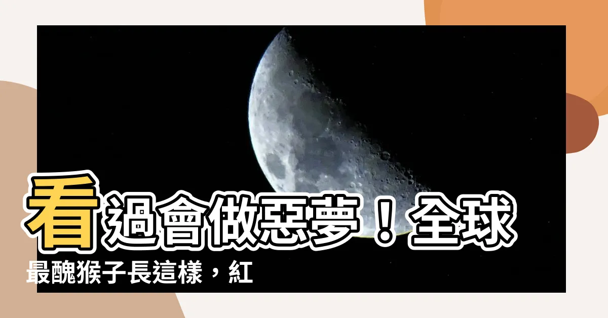【最醜的猴子】看過會做惡夢！全球最醜猴子長這樣，紅臉沒毛像外星人