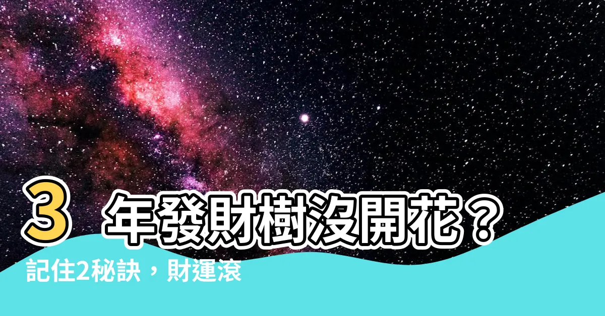 【發財樹會開花】3年發財樹沒開花？記住2秘訣，財運滾滾！