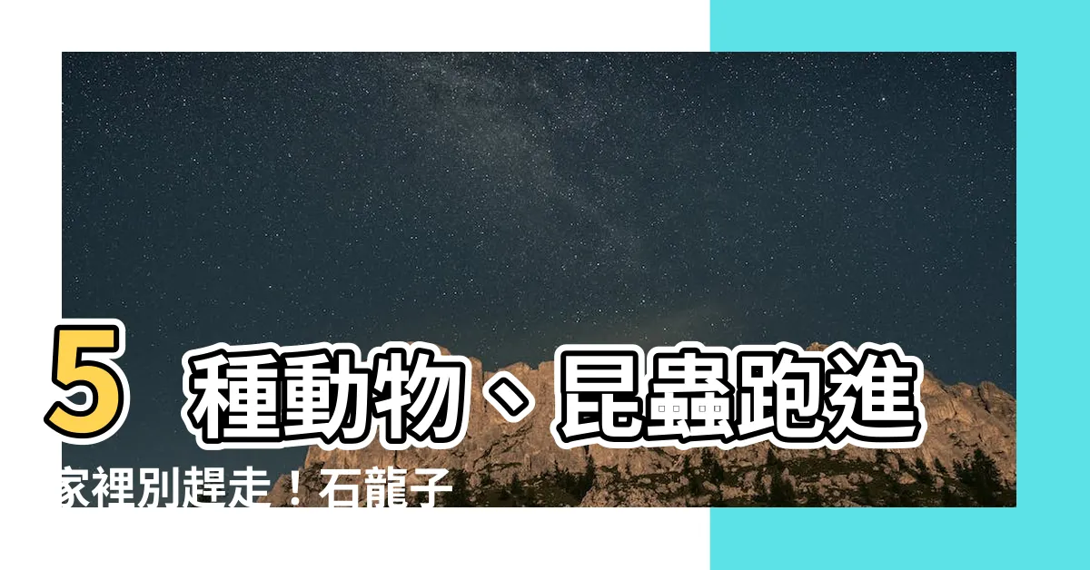 【石龍子風水】5種動物、昆蟲跑進家裡別趕走！石龍子風水報喜，財神爺來了！