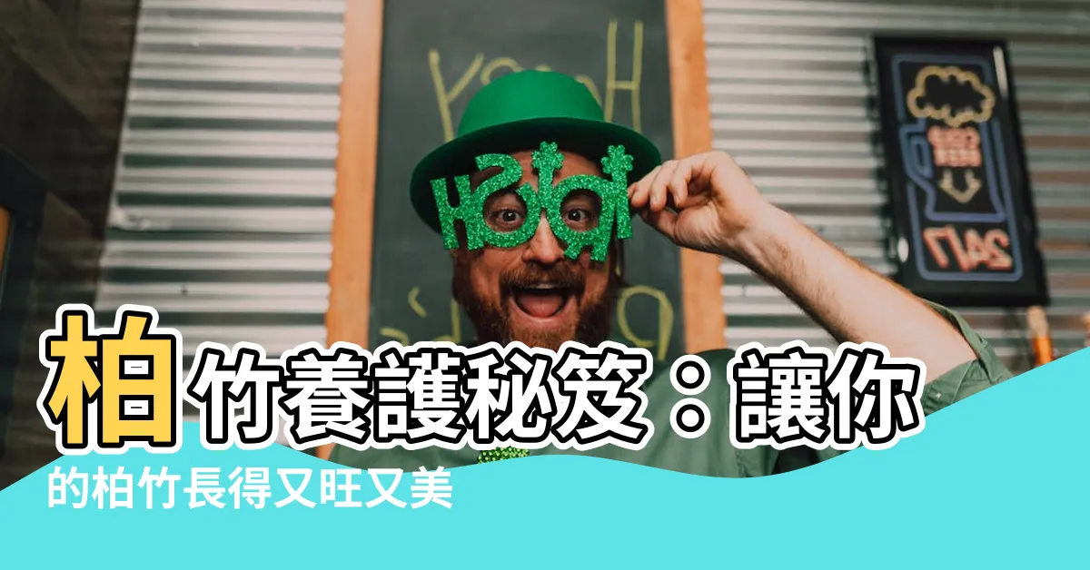 【柏竹】柏竹養護秘笈：讓你的柏竹長得又旺又美！