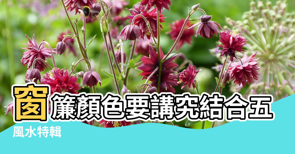 【客廳臥室窗簾顏色風水】窗簾顏色要講究結合五行流年好運到 |風水特輯 |招財旺運一整年 |