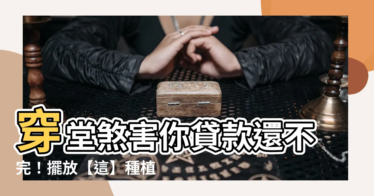 【穿堂煞植物】穿堂煞害你貸款還不完！擺放【這】種植物輕鬆化解財運危機