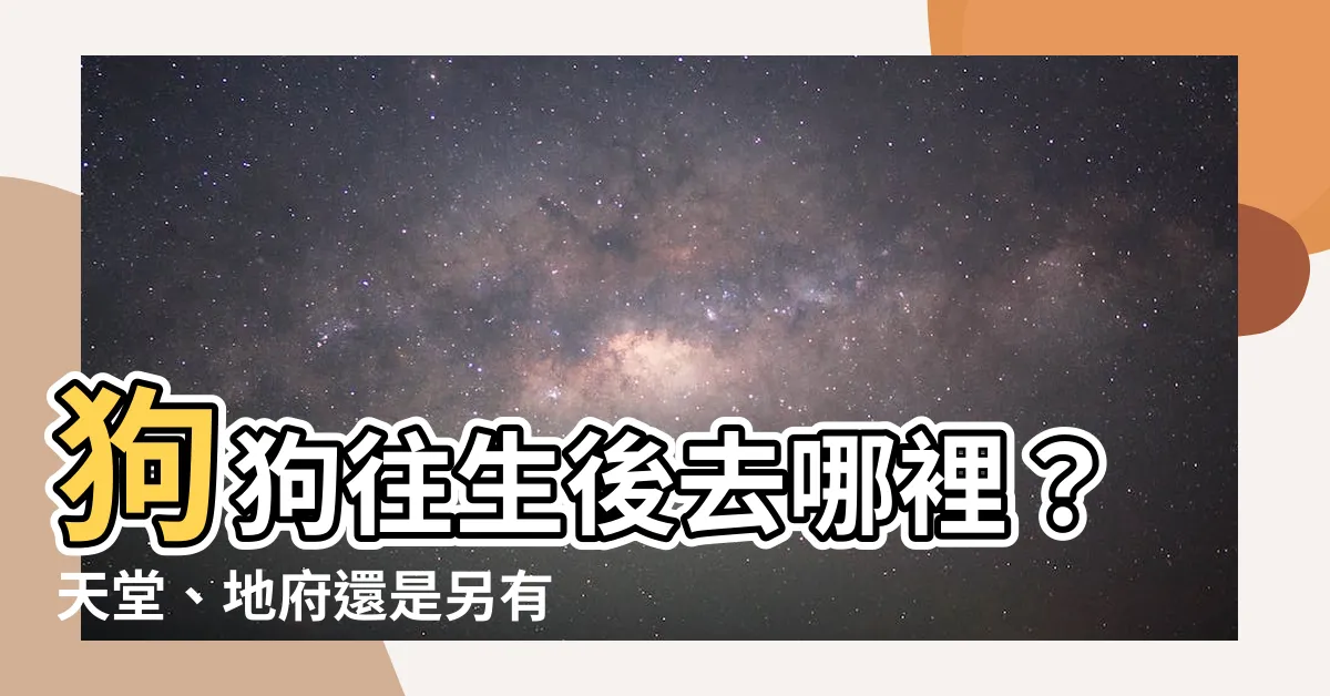 【狗狗往生後去哪裡】狗狗往生後去哪裡？天堂、地府還是另有他處？