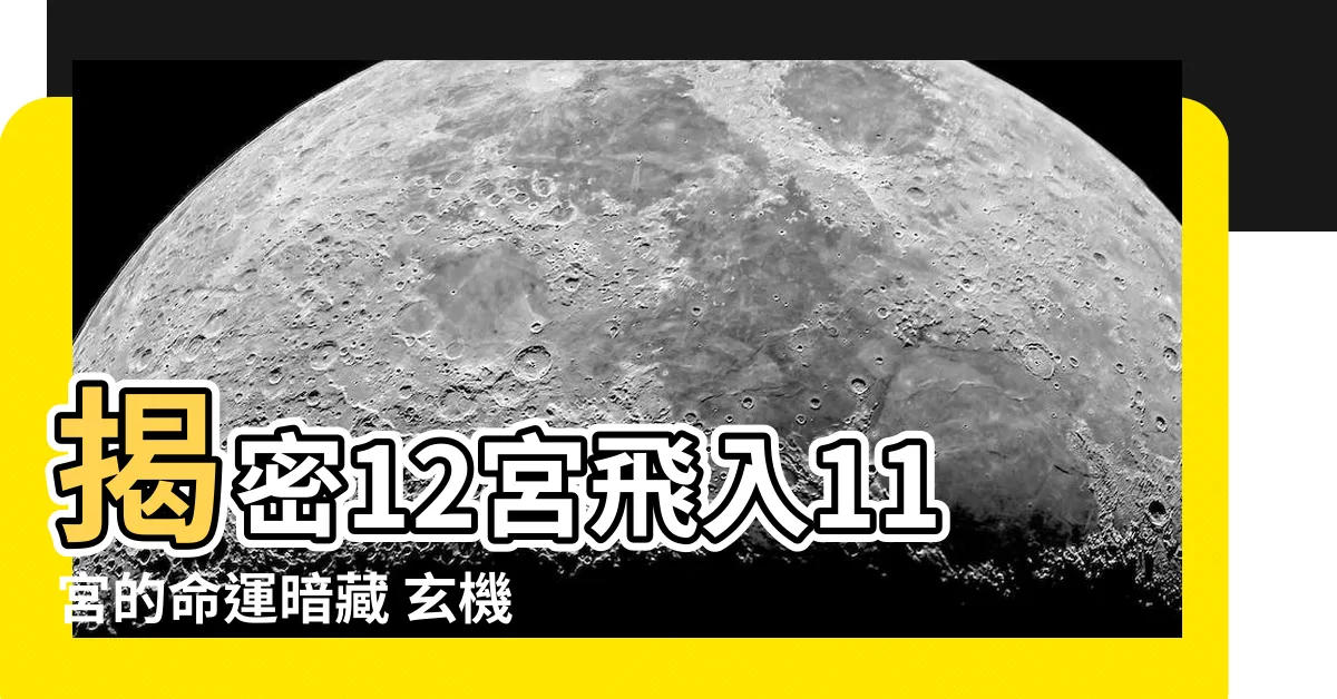 【12宮飛入11宮】揭密12宮飛入11宮的命運暗藏 玄機無限等你探索