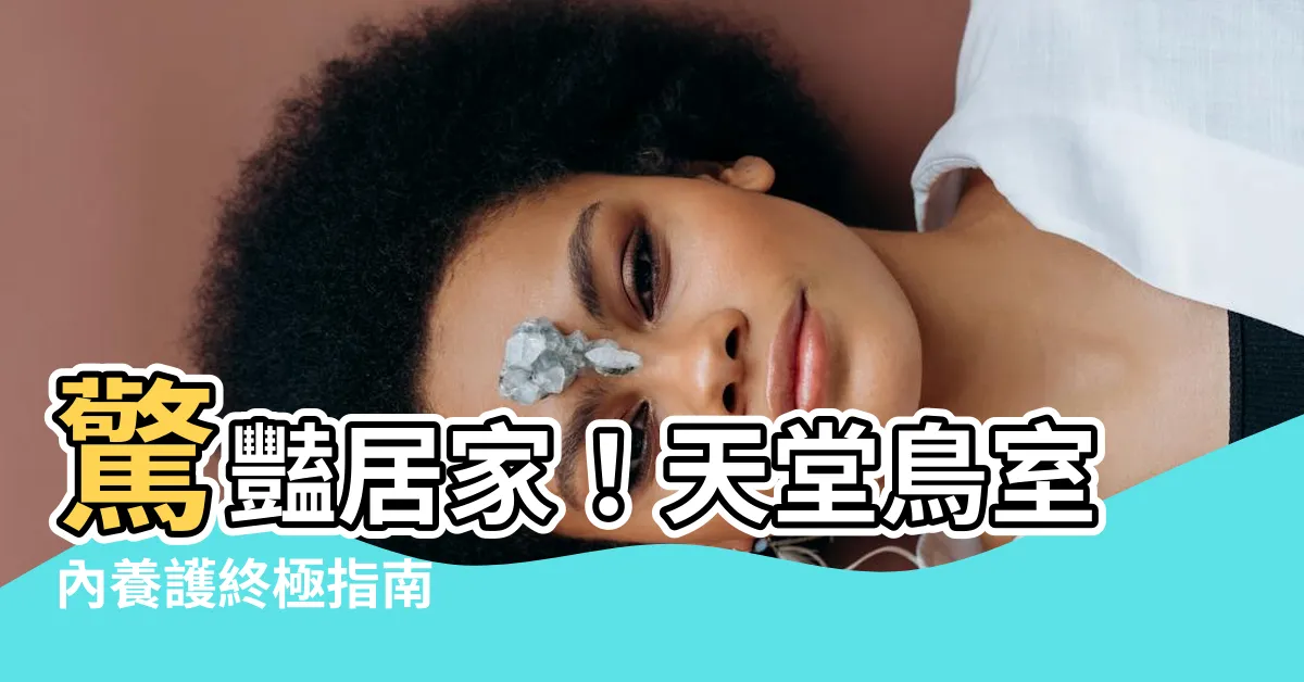 【天堂鳥室內】驚豔居家！天堂鳥室內養護終極指南