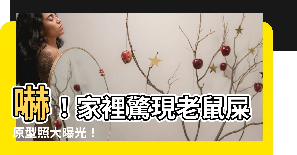 【老鼠屎照片】嚇！家裡驚現老鼠屎原型照大曝光！