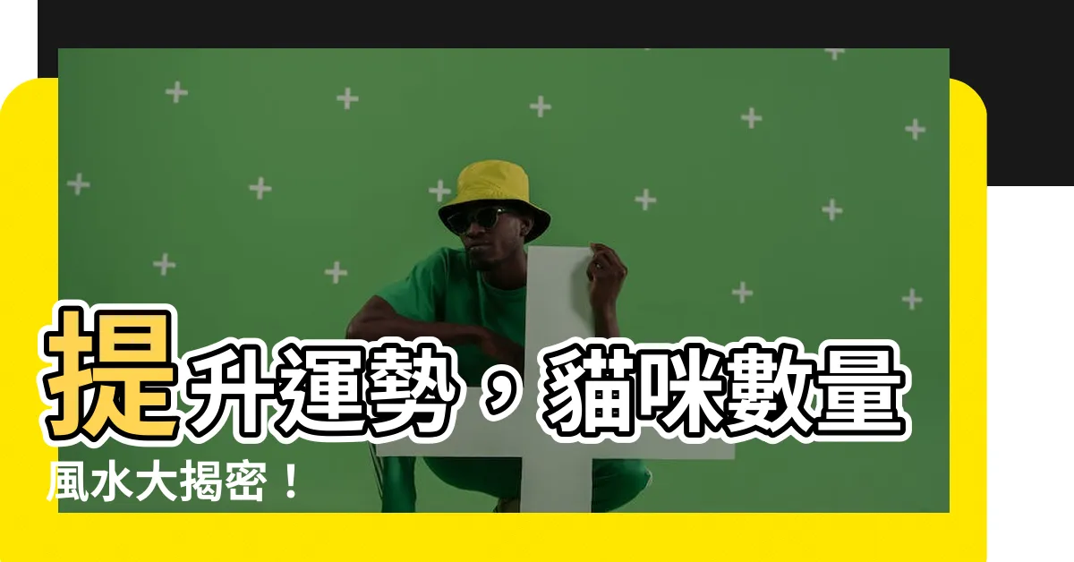 【養貓數量風水】提升運勢，貓咪數量風水大揭密！