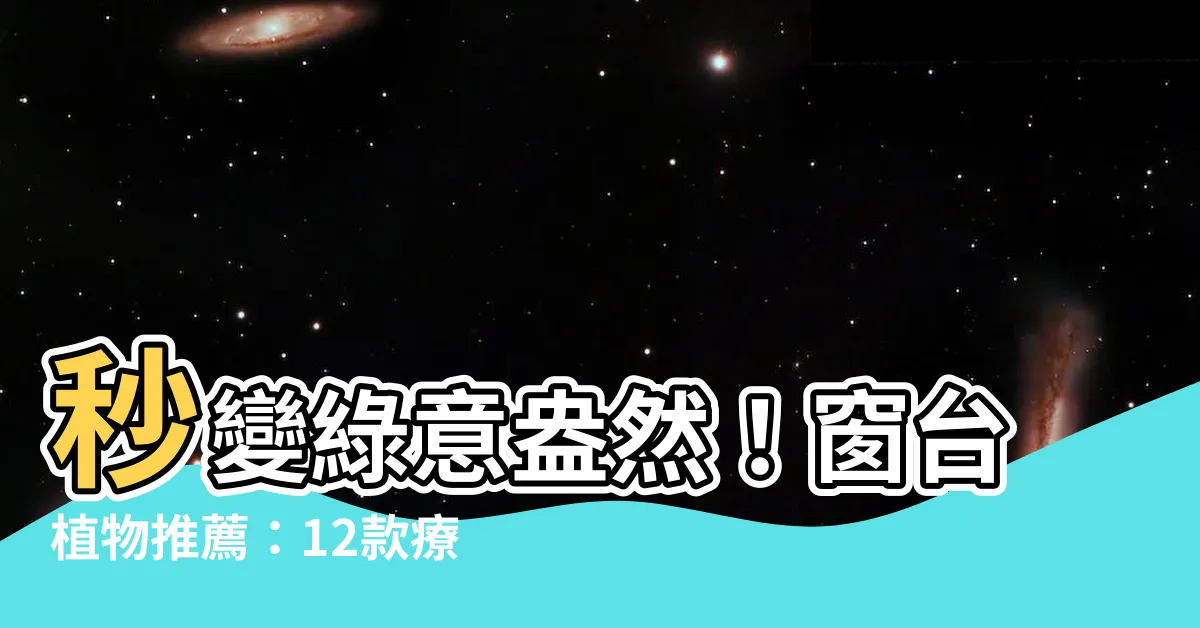【窗台植物推薦】秒變綠意盎然！窗台植物推薦：12款療癒系迷你多肉植物