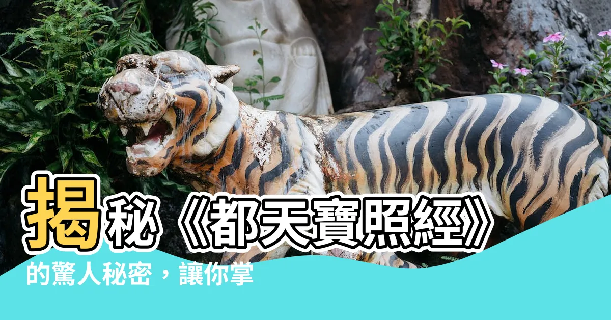 【都天寶照經】揭秘《都天寶照經》的驚人秘密，讓你掌握命運之鑰！