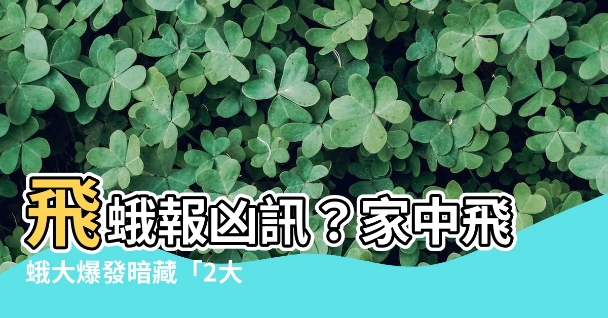 【飛蛾很多】飛蛾報兇訊？家中飛蛾大爆發暗藏「2大徵兆」小心了！