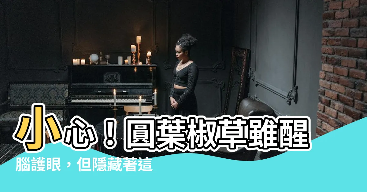 【圓葉椒草有毒】小心！圓葉椒草雖醒腦護眼，但隱藏著這致命的秘密