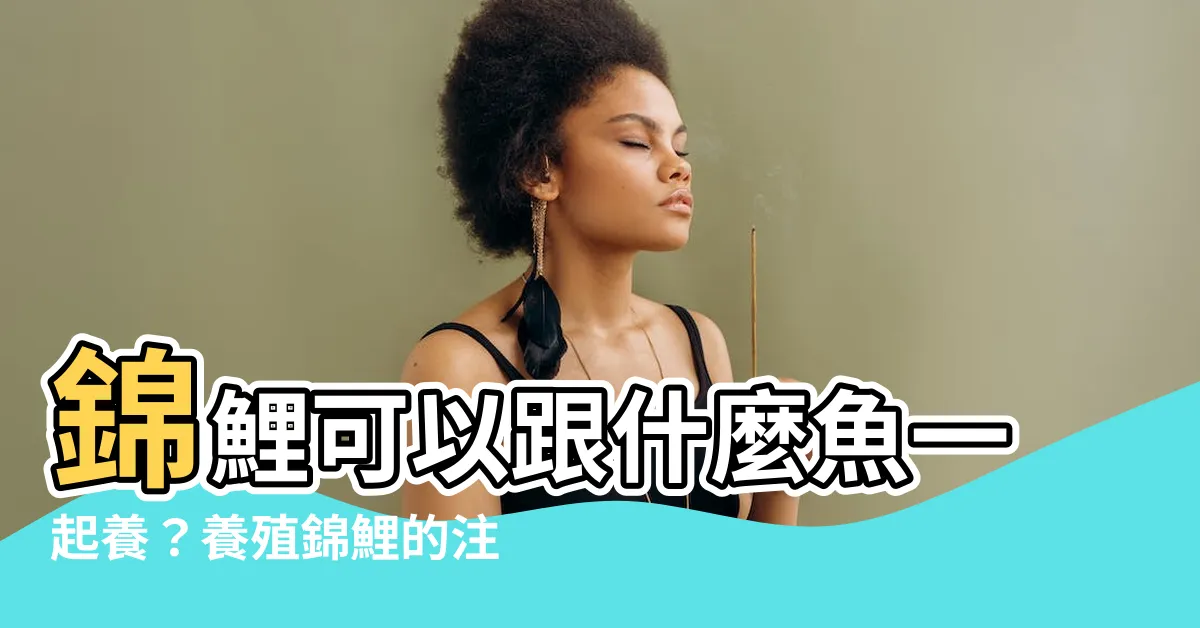 【錦鯉可以跟什麼魚一起養】錦鯉可以跟什麼魚一起養？養殖錦鯉的注意事項一次看！