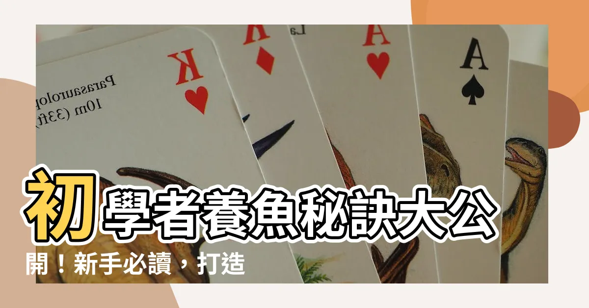 【如何養魚】初學者養魚秘訣大公開！新手必讀，打造魚兒樂園