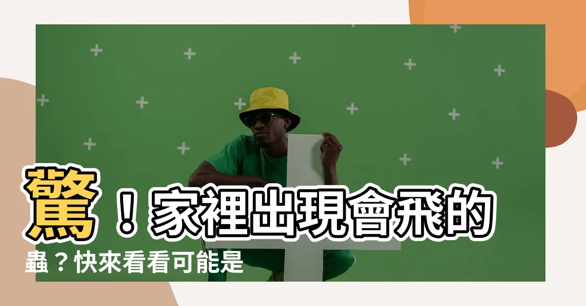 【家裡出現會飛的蟲】驚！家裡出現會飛的蟲？快來看看可能是什麼！