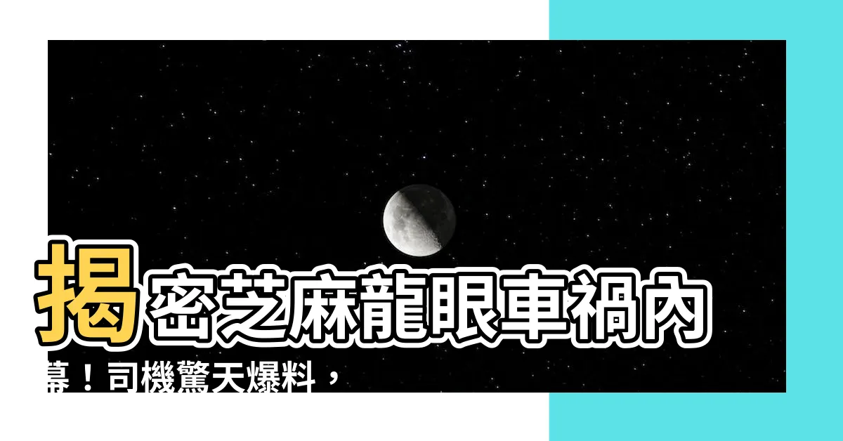 【芝麻龍眼車禍司機】揭密芝麻龍眼車禍內幕！司機驚天爆料，真相讓人毛骨悚然