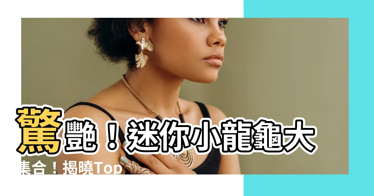 【小龍龜】驚艷！迷你小龍龜大集合！揭曉Top 1000可愛小龍龜！