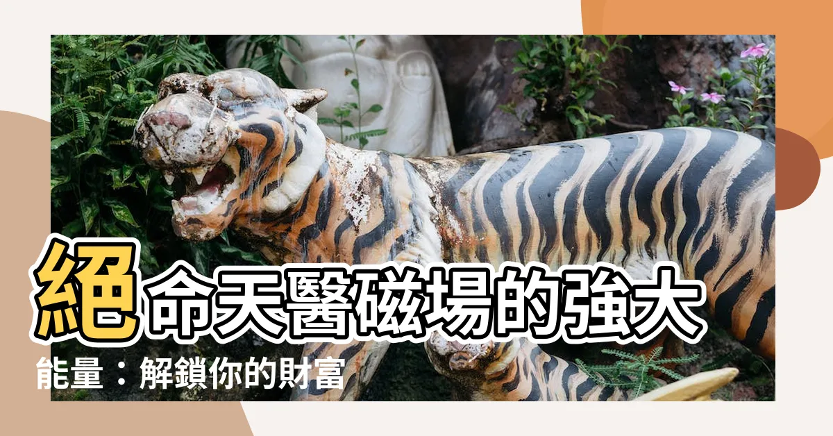 【絕命天醫】絕命天醫磁場的強大能量：解鎖你的財富之路
