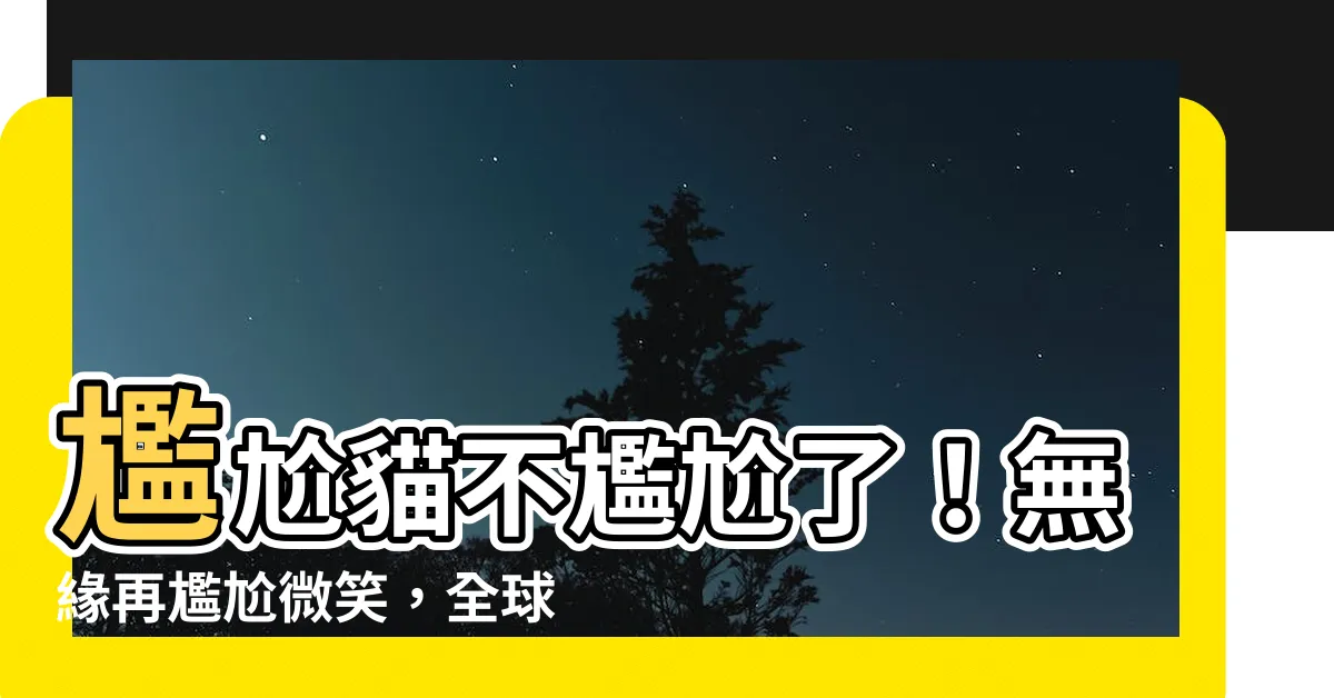 【尷尬貓過世】尷尬貓不尷尬了！無緣再尷尬微笑，全球粉絲心痛