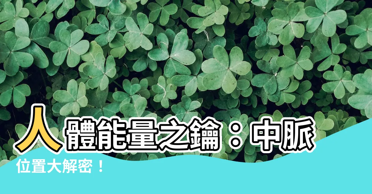 【中脈位置】人體能量之鑰：中脈位置大解密！