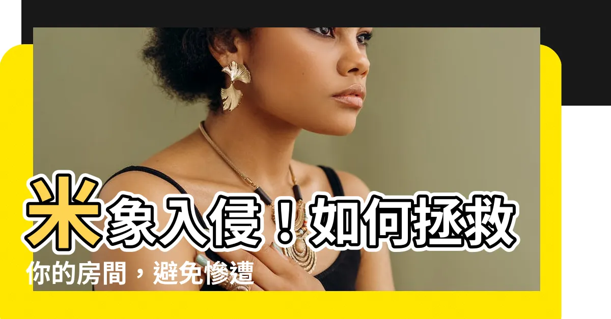 【米象房間】米象入侵！如何拯救你的房間，避免慘遭蟲蟲大軍侵蝕？