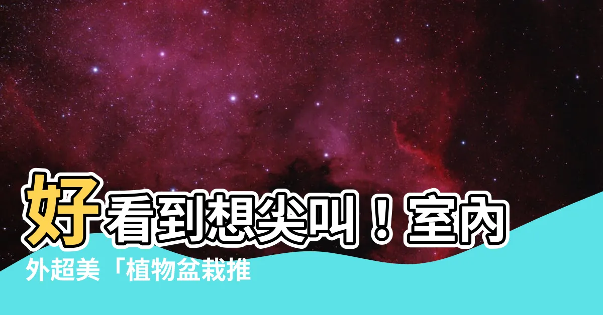 【盆栽推薦】好看到想尖叫！室內外超美「植物盆栽推薦」，打造清新舒爽宅邸！