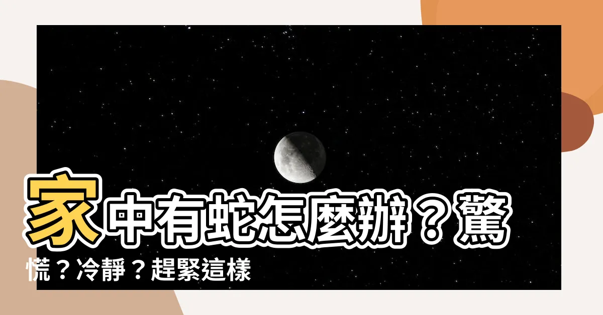【家中有蛇怎麼辦】家中有蛇怎麼辦？驚慌？冷靜？趕緊這樣做！