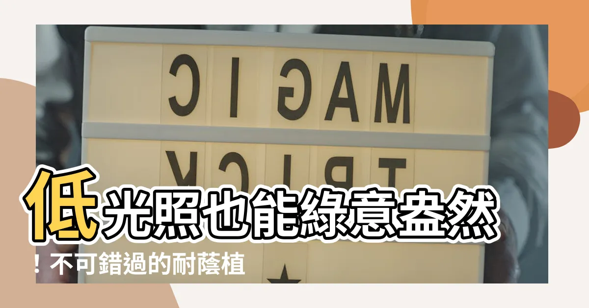 【耐蔭植物】低光照也能綠意盎然！不可錯過的耐蔭植物推薦