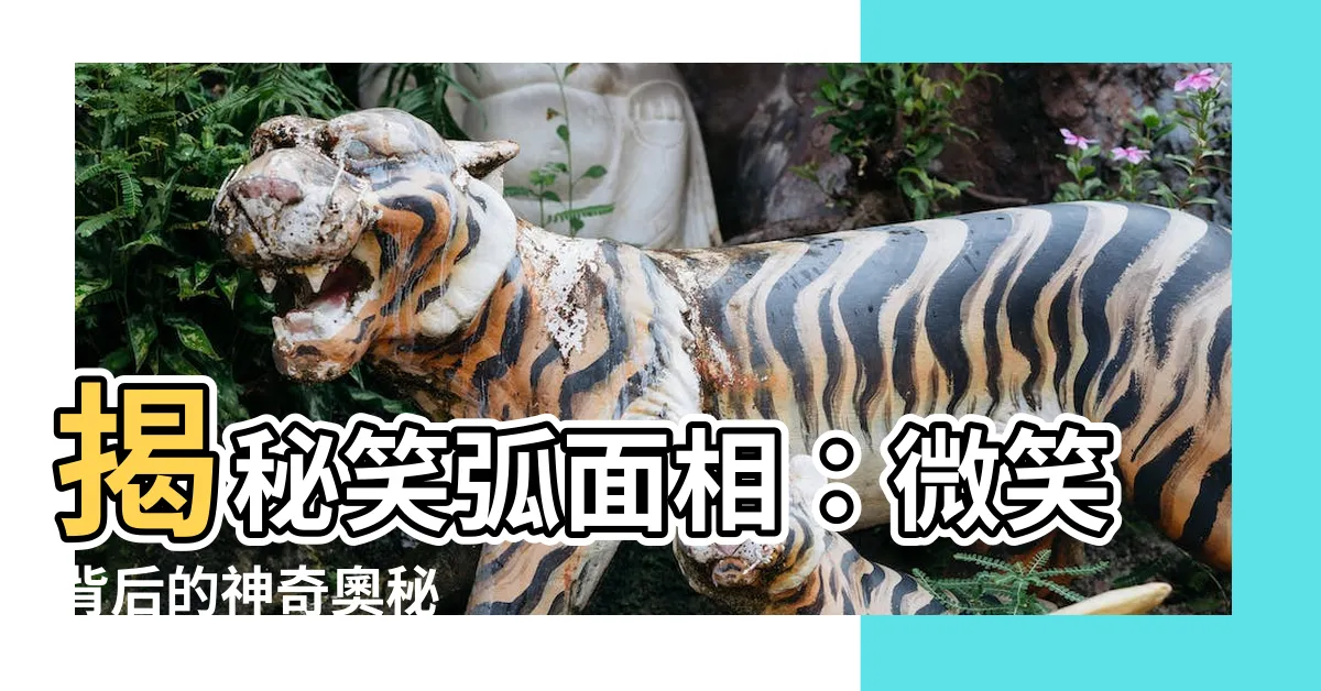 【笑弧面相】揭秘笑弧面相：微笑背後的神奇奧秘