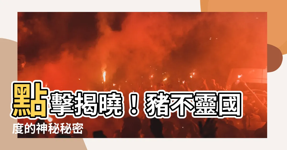 【豬不靈】點擊揭曉！豬不靈國度的神秘秘密