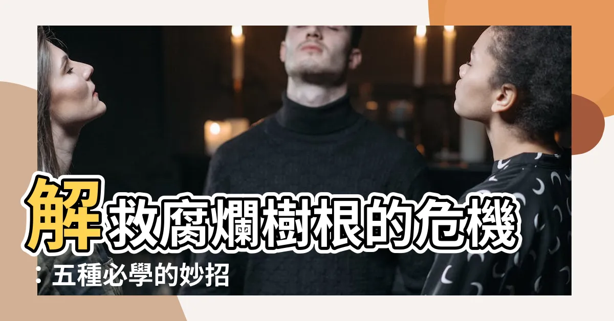 【樹根腐爛】解救腐爛樹根的危機：五種必學的妙招