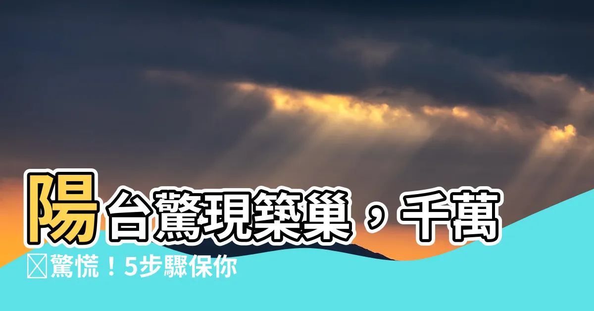 【陽台有蜂窩】陽台驚現築巢，千萬別驚慌！5步驟保你安然應對蜂窩困擾