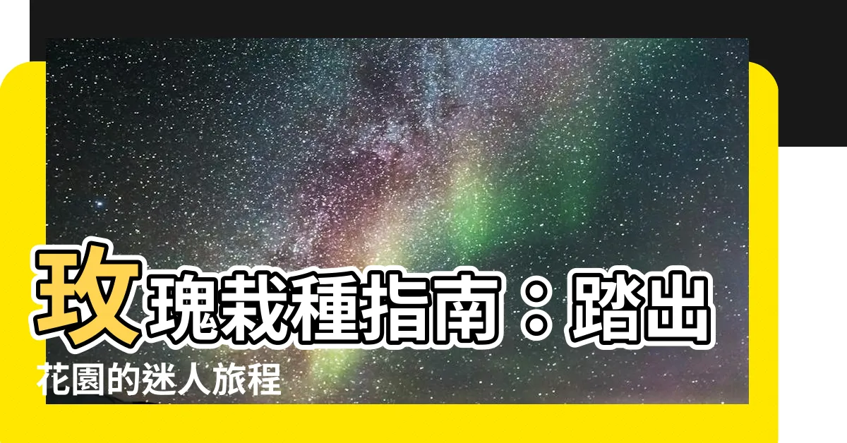 【玫瑰栽種】玫瑰栽種指南：踏出花園的迷人旅程