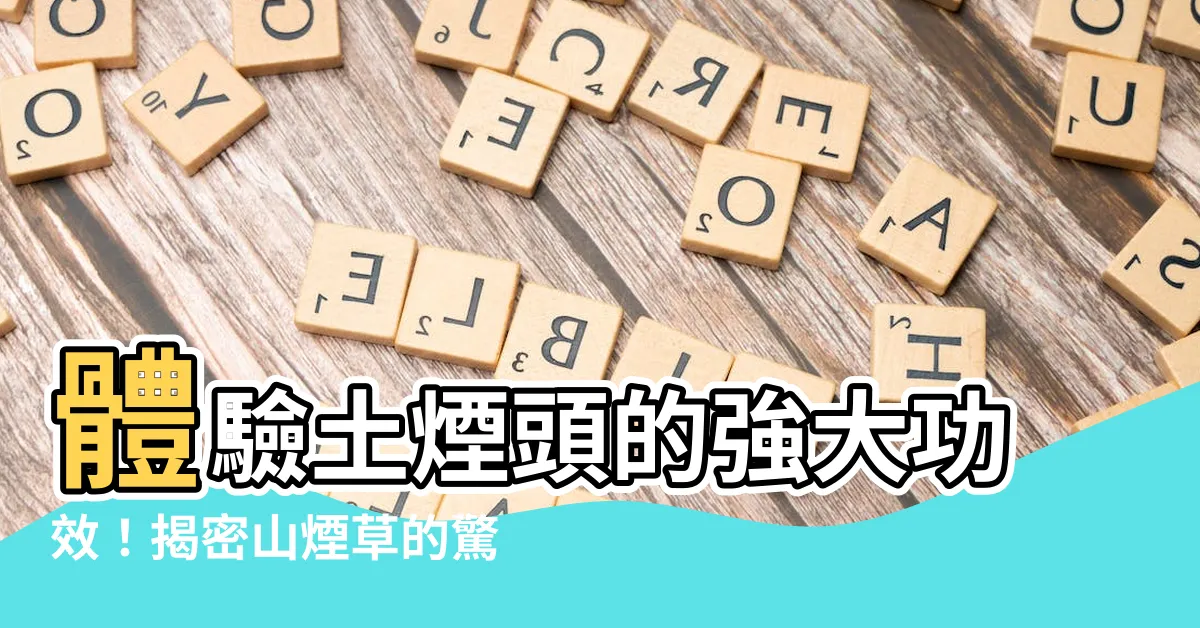 【土煙頭功效】體驗土煙頭的強大功效！揭密山煙草的驚人秘密