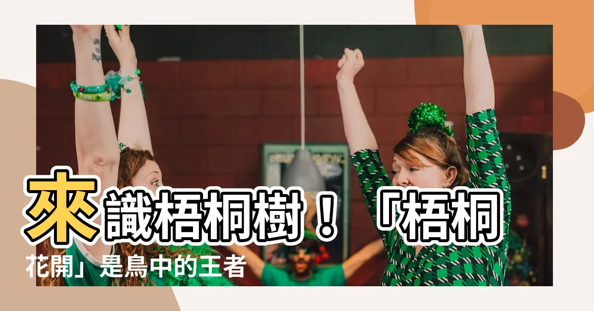 【梧桐樹開花】來識梧桐樹！「梧桐花開」是鳥中的王者到來的徵兆嗎？