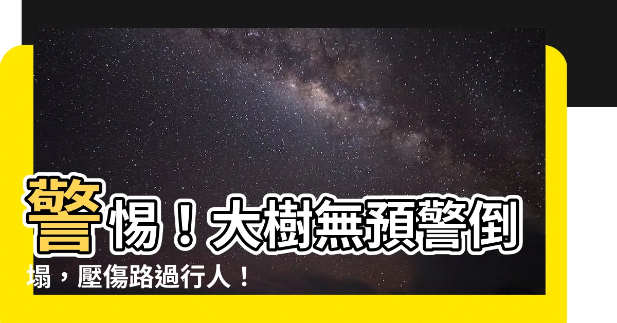 【大樹倒】警惕！大樹無預警倒塌，壓傷路過行人！