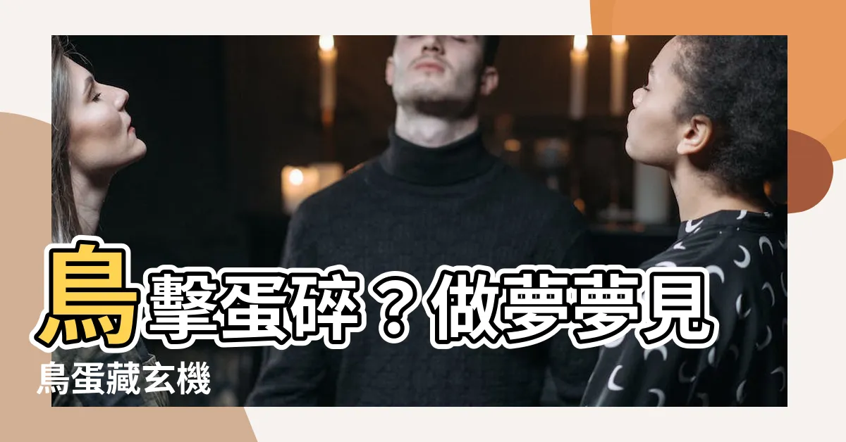 【夢見鳥蛋】鳥擊蛋碎？做夢夢見鳥蛋藏玄機