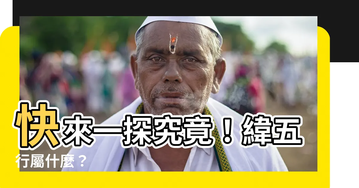 【緯五行】快來一探究竟！緯五行屬什麼？