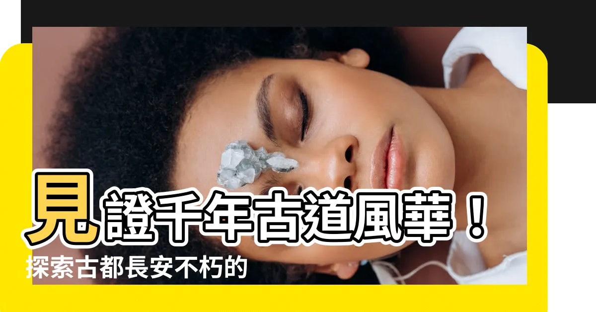 【朱雀大道】見證千年古道風華！探索古都長安不朽的心臟：朱雀大道
