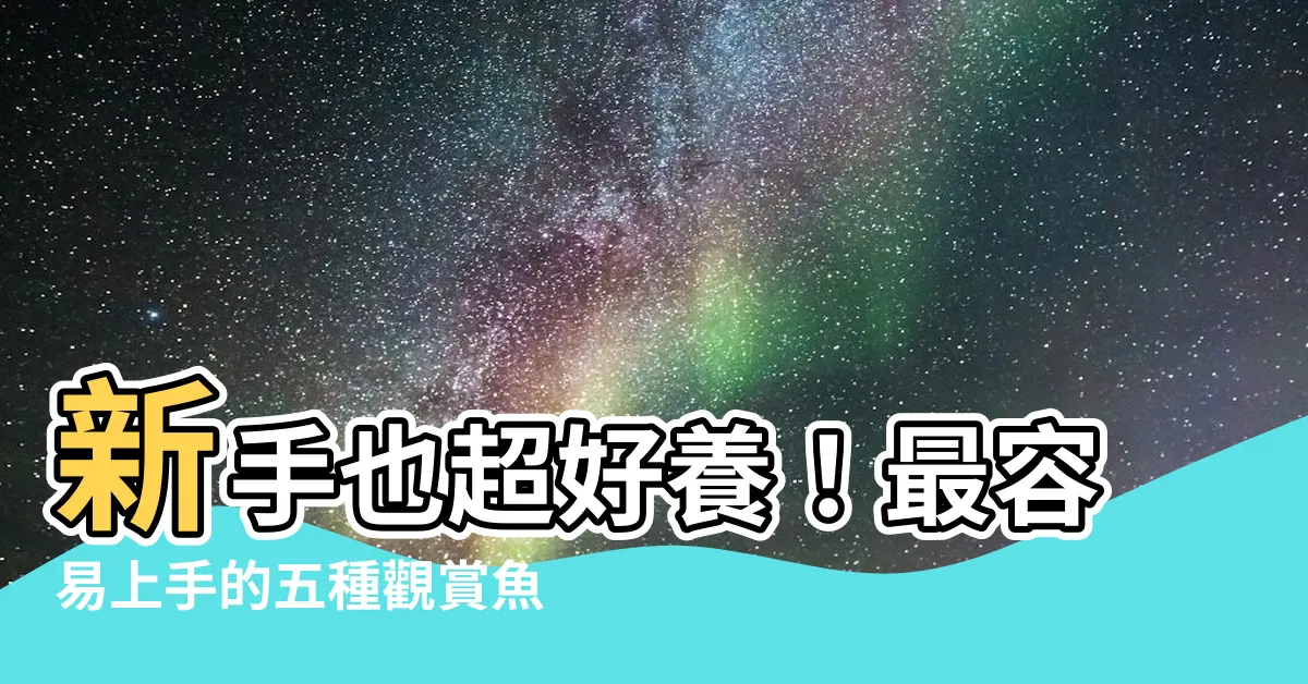 【最容易養的魚】新手也超好養！最容易上手的五種觀賞魚攻略