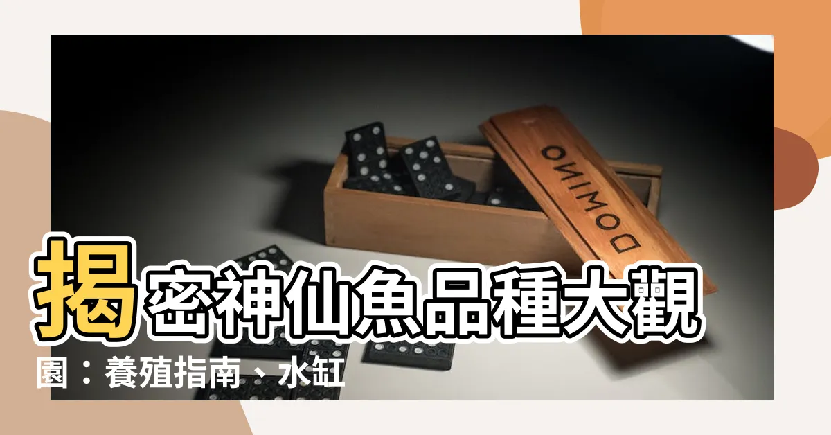 【神仙魚品種】揭密神仙魚品種大觀園：養殖指南、水缸配置與各種類型介紹